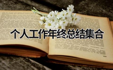 个人工作年终总结集合 (15篇）