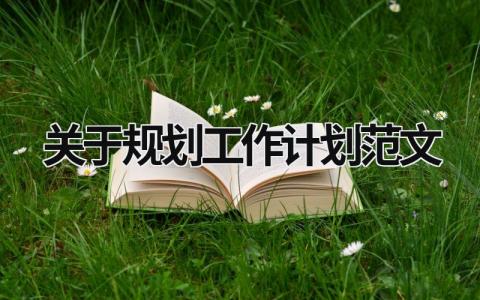 关于规划工作计划范文 (17篇）