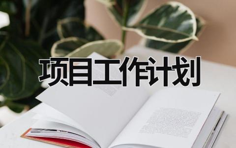 项目工作计划 (15篇）