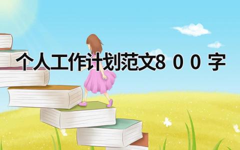 个人工作计划范文800字 (17篇）