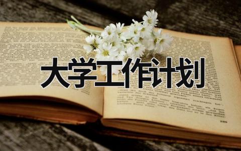 大学工作计划 (15篇）