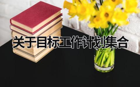 关于目标工作计划集合 (20篇）