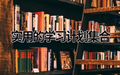 实用的学习计划集合 (18篇）