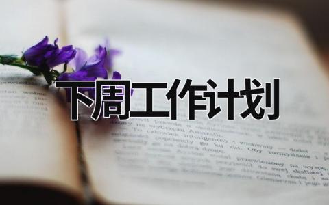 下周工作计划 (19篇）