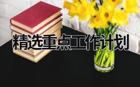 精选重点工作计划 (20篇）