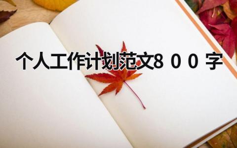 个人工作计划范文800字 (18篇）