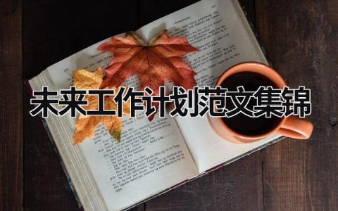 未来工作计划范文集锦 (15篇）