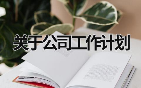 关于公司工作计划 (15篇）