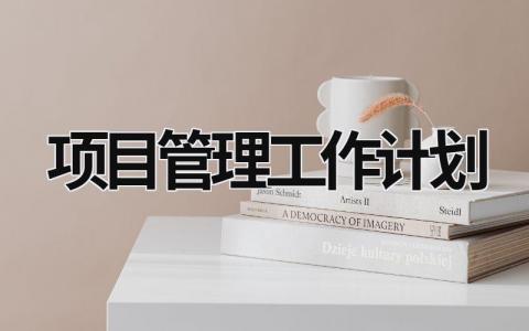 项目管理工作计划 (19篇）