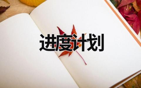 进度计划 (19篇）