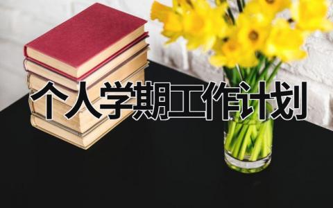 个人学期工作计划 (16篇）