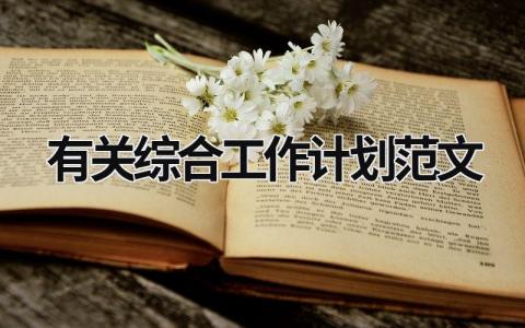 有关综合工作计划范文 (17篇）