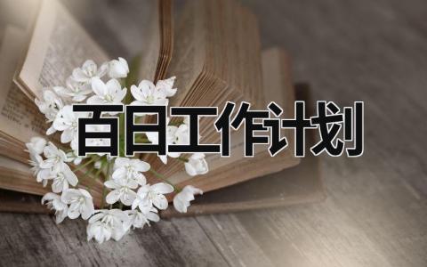 百日工作计划 (16篇）