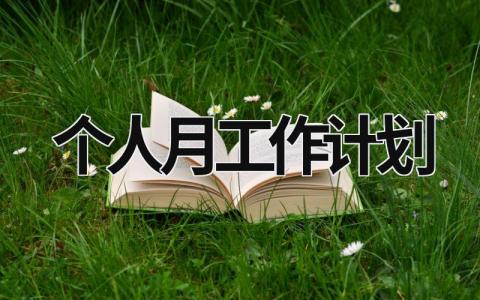 个人月工作计划 (20篇）