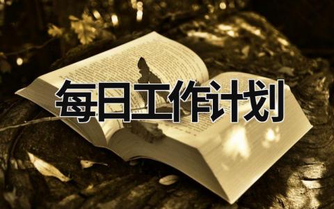 每日工作计划 (16篇）