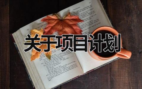 关于项目计划 (15篇）