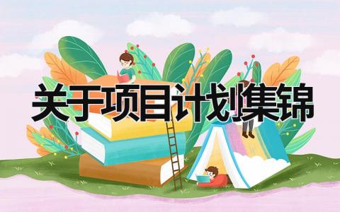 关于项目计划集锦 (15篇）