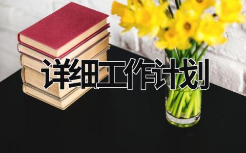 详细工作计划 (18篇）