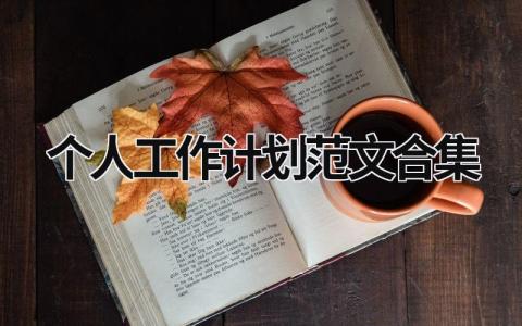 个人工作计划范文合集 (18篇）