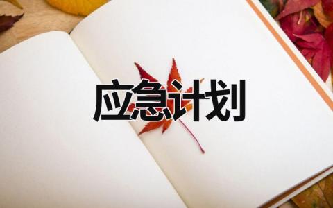 应急计划 (19篇）