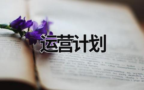 运营计划 (19篇）