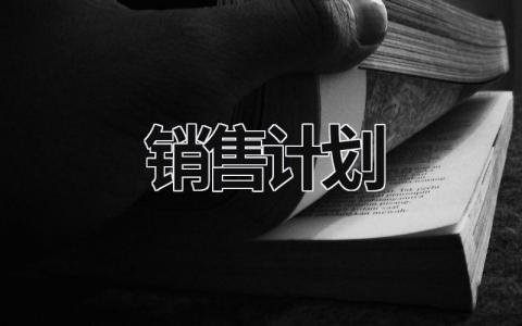 销售计划 (15篇）