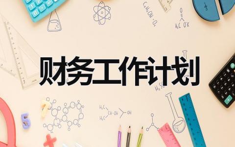 财务工作计划 (19篇）