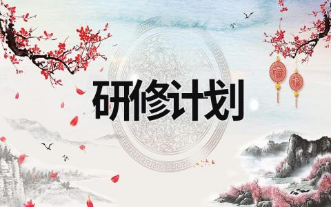 研修计划 (16篇）