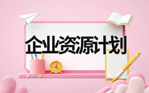 企业资源计划 (6篇）