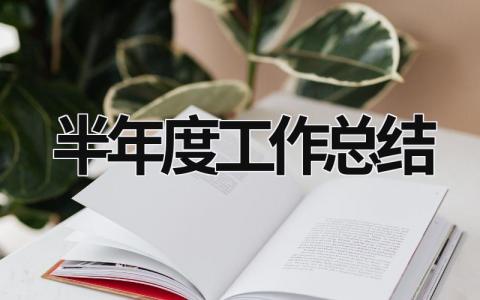 半年度工作总结 (19篇）