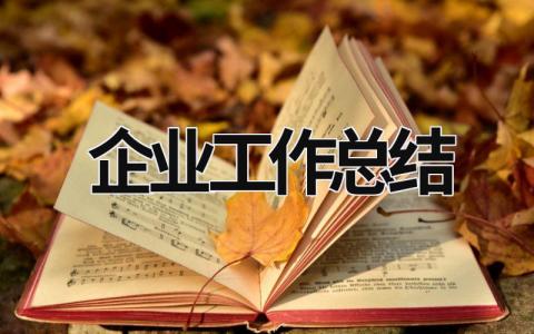 企业工作总结 (17篇）