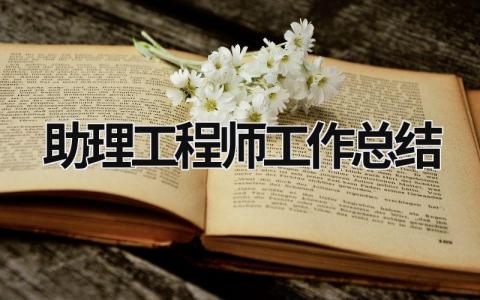 助理工程师工作总结 (16篇）