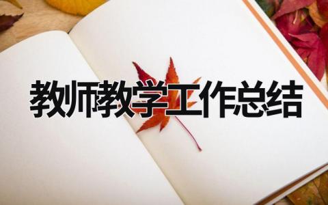 教师教学工作总结 (21篇）