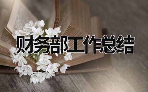 财务部工作总结 (17篇）