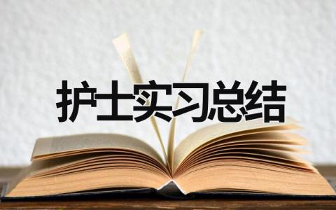 护士实习总结 (17篇）