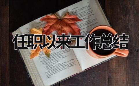 任职以来工作总结 (15篇）