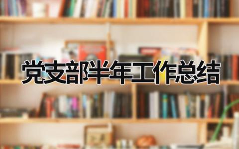 党支部半年工作总结 (20篇）