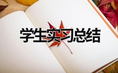 学生实习总结 (21篇）