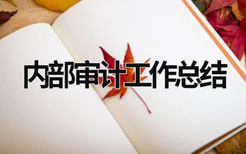 内部审计工作总结 (18篇）