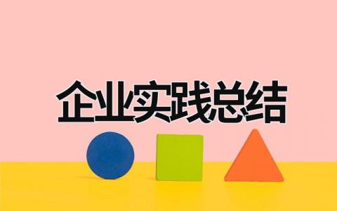 企业实践总结 (18篇）