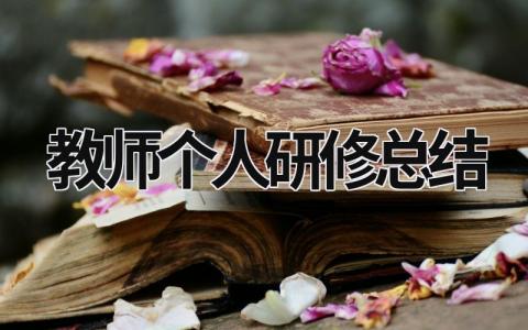 教师个人研修总结 (16篇）