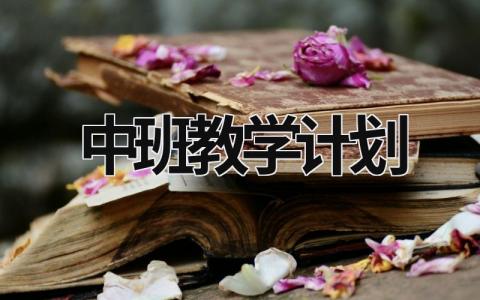 中班教学计划 (20篇）