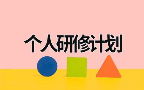 个人研修计划 (20篇）