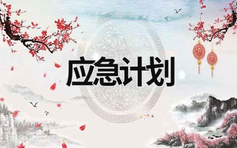 应急计划 (17篇）