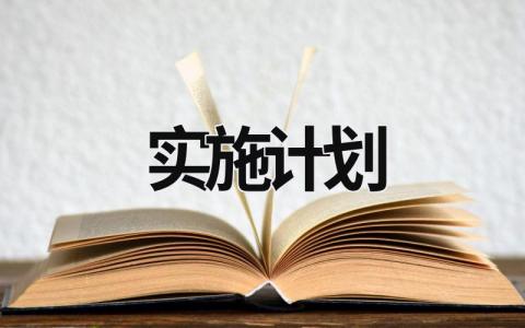 实施计划 (16篇）