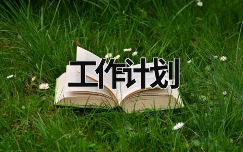 工作计划 (19篇）