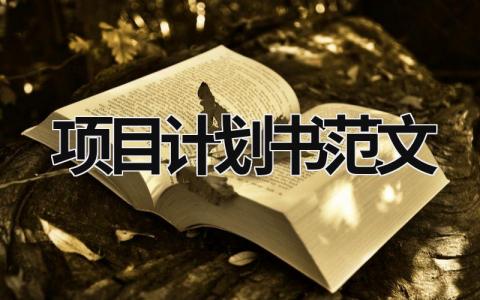 项目计划书范文 (16篇）