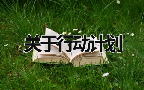 关于行动计划 (16篇）