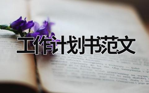 工作计划书范文 (15篇）