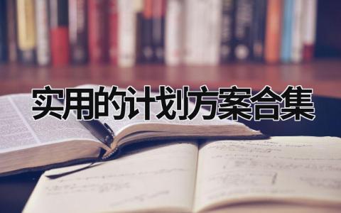 实用的计划方案合集 (16篇）